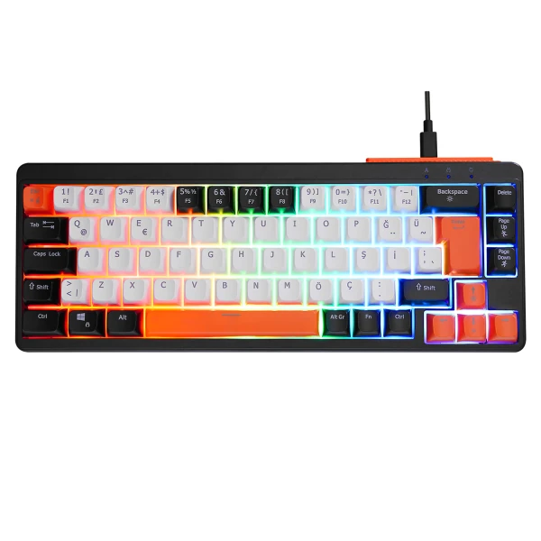 ACER EMACHINES EAK810 BEJ/SİYAH/TURUNCU USB RAINBOW AYDINLATMALI MINI Q STANDART KLAVYE