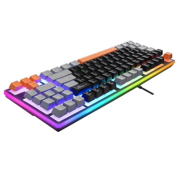 ACER EMACHINES EAK216 SİYAH/GRİ/TURUNCU USB RAINBOW AYDINLATMALI Q STANDART TKL KLAVYE