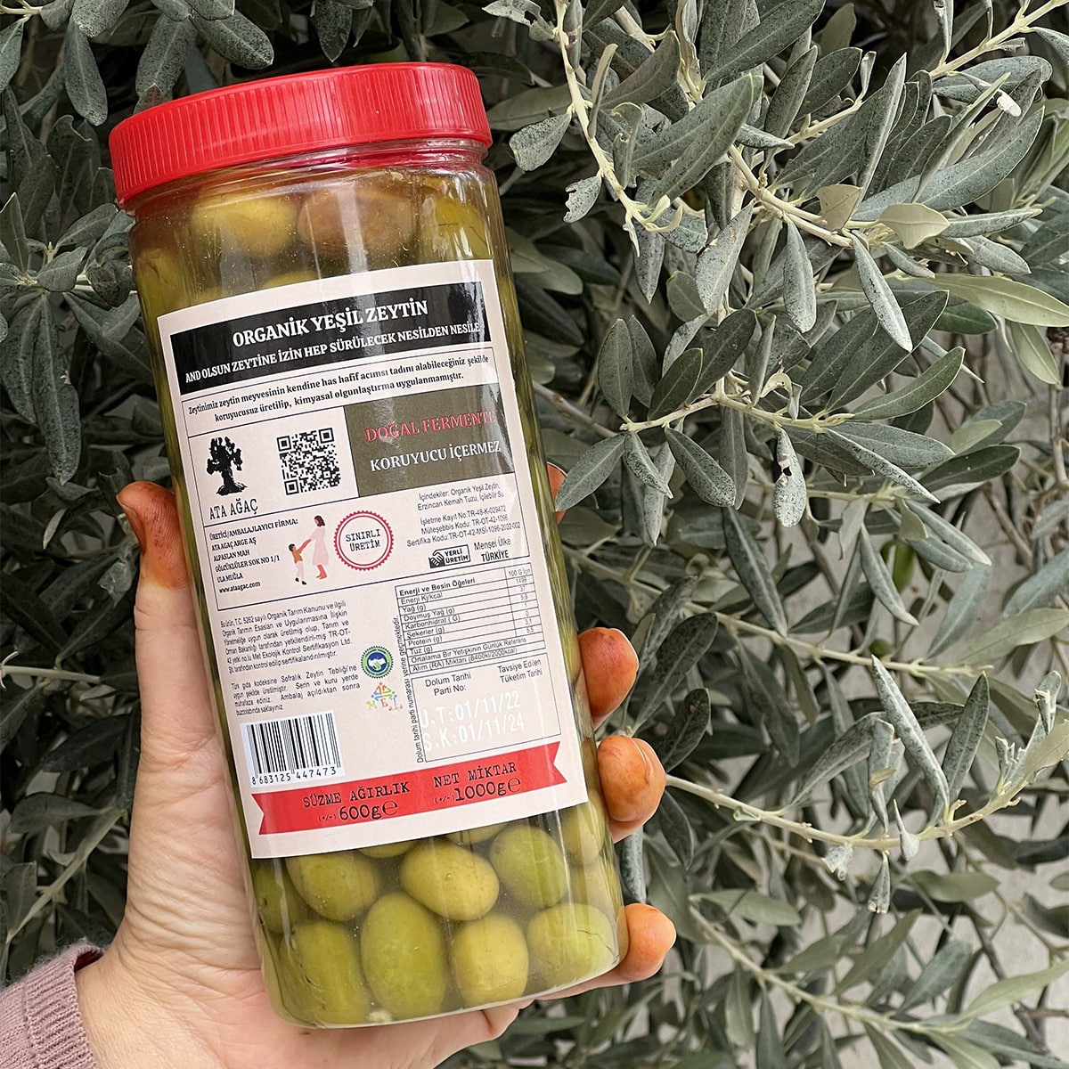 Ata Ağaç  Kirma Yeşil Zeytin 600 Gr