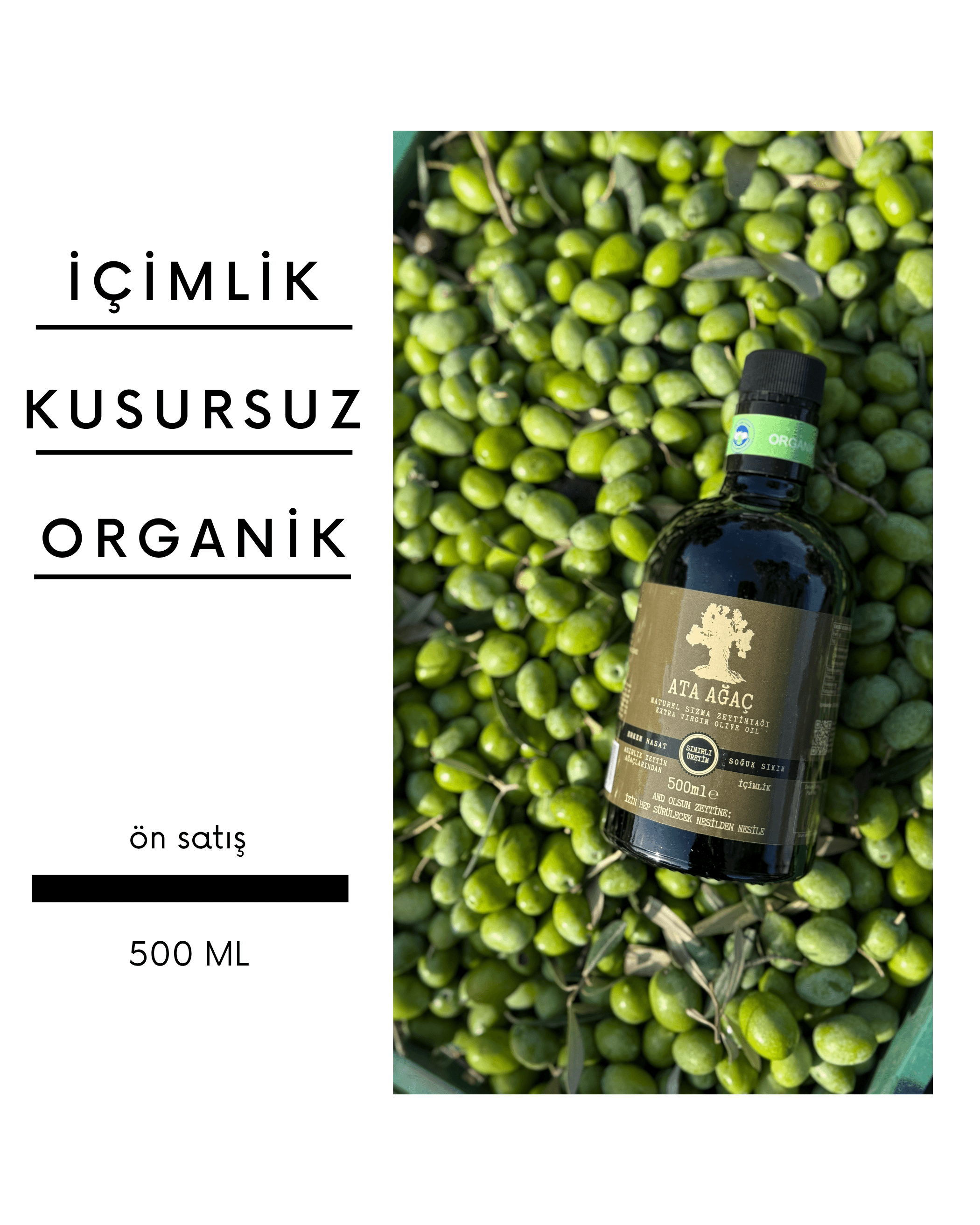Yeni Sezon İçimlik Organik Zeytinyağı 500 Ml