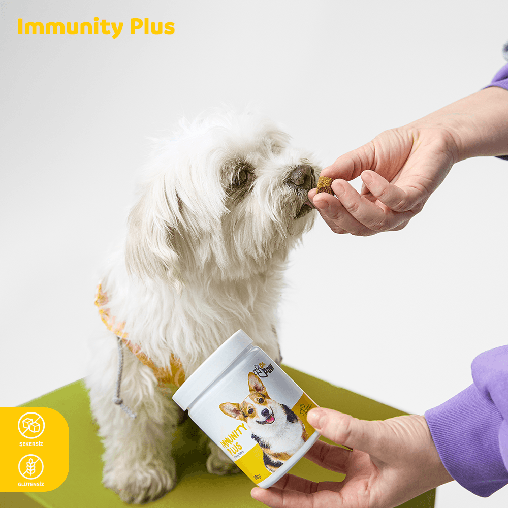 Immunity Plus: Bağışıklık Sistemi Destekleyici Çiğnenebilir Tablet (Küçük Irk)