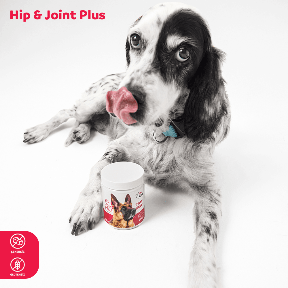 Hip & Joint Plus: Köpekler İçin Eklem ve Kas Sistemi Destekleyici Çiğnenebilir Tablet (120 gr)