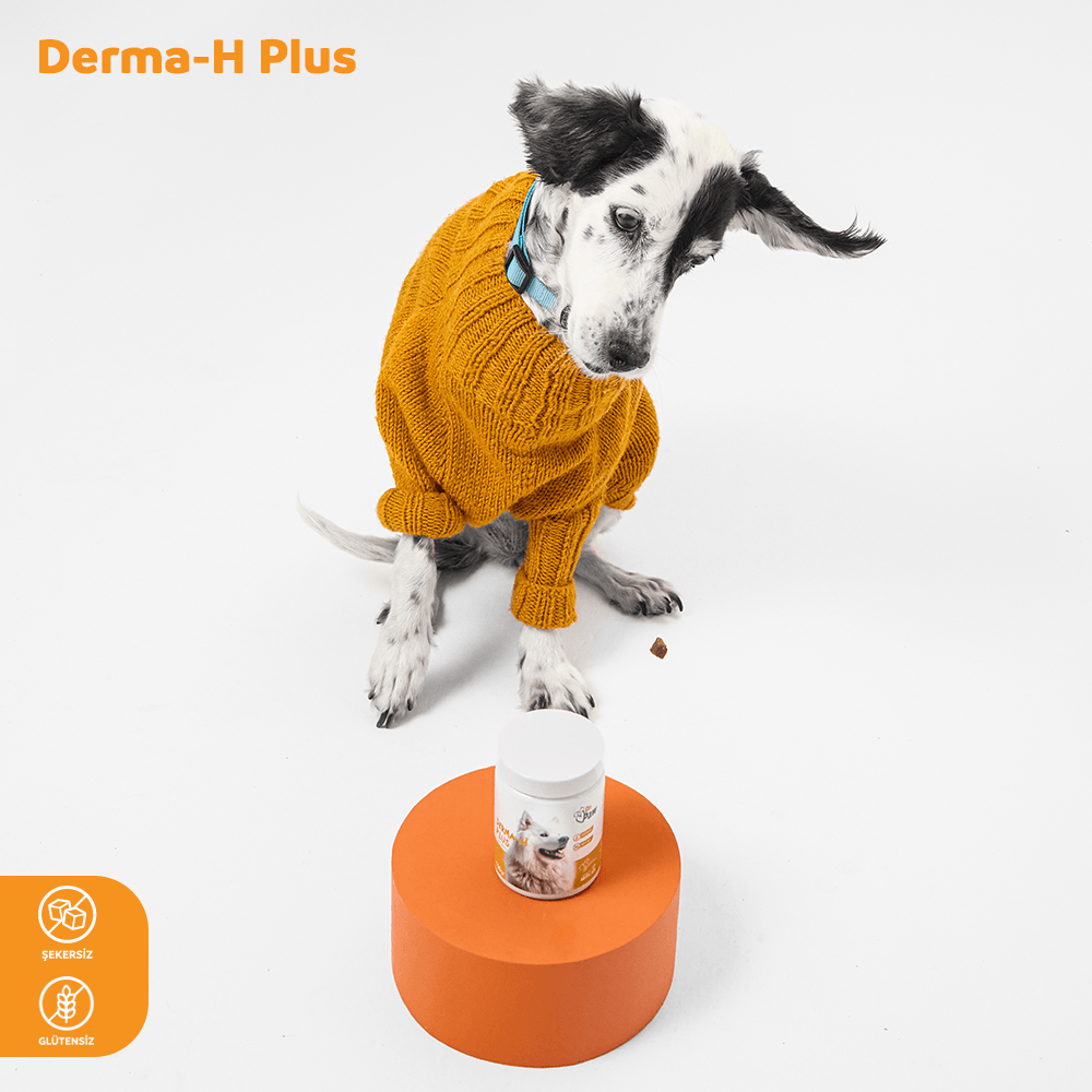 Derma H Plus: Köpekler İçin Glutensiz ve Şeker İlavesiz Tüy ve Cilt Sağlığı Destekleyici Çiğnenebilir Tablet (120 gr)