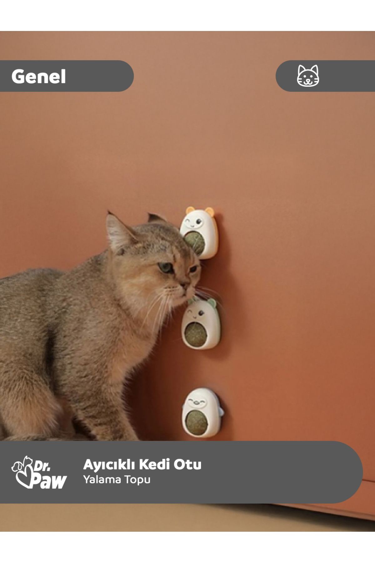 Ayıcıklı Kedi Otu Yalama Topu – Kediniz İçin Eğlenceli ve Ödüllendirici!