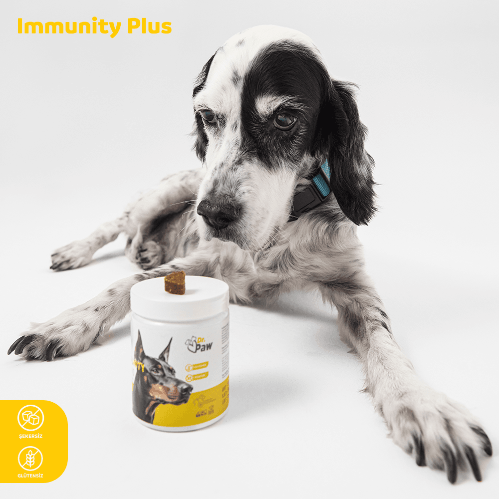 Immunity Plus: Köpekler İçin Glutensiz ve Şekersiz Bağışıklık Sistemi Destekleyici Çiğnenebilir Tablet (120gr)