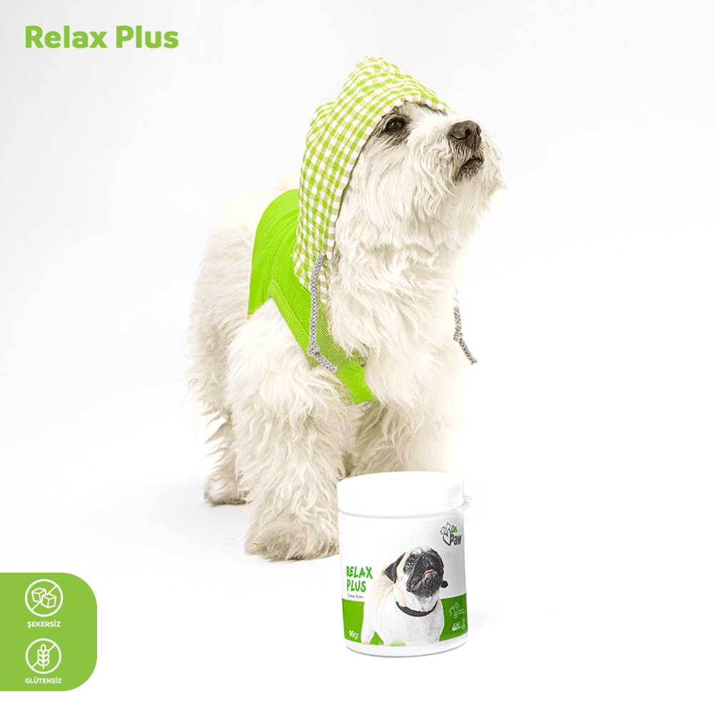 Relax Plus: Köpekler İçin Glutensiz ve Şeker İlavesiz Stres Azaltıcı Çiğnenebilir Tablet (Küçük Irk)