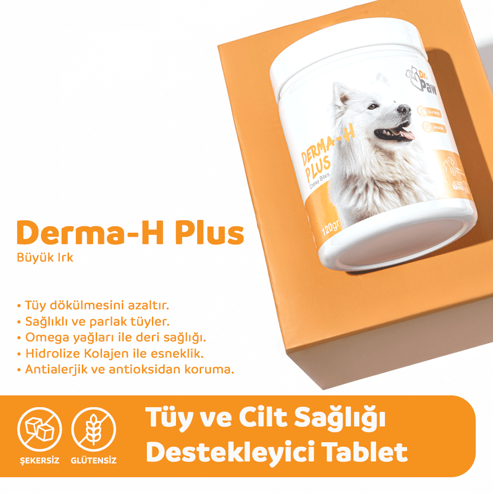 Derma H Plus: Köpekler İçin Glutensiz ve Şeker İlavesiz Tüy ve Cilt Sağlığı Destekleyici Çiğnenebilir Tablet (120 gr)