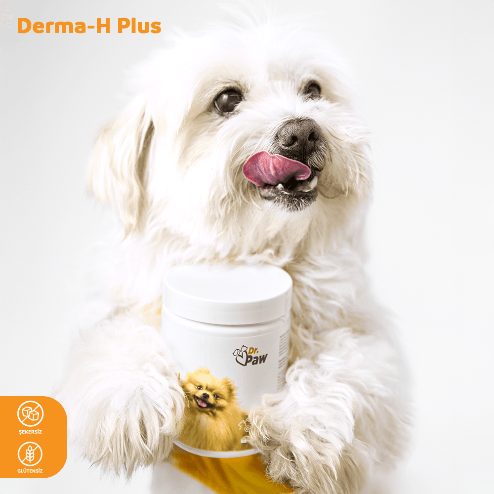 Derma H Plus: Köpekler İçin Glutensiz ve Şeker İlavesiz Tüy ve Cilt Sağlığı Destekleyici Çiğnenebilir Tablet (Küçük Irk)