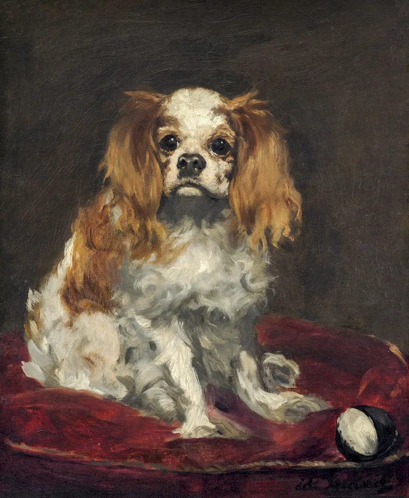 Bir King Charles Spaniel - Édouard Manet Poster