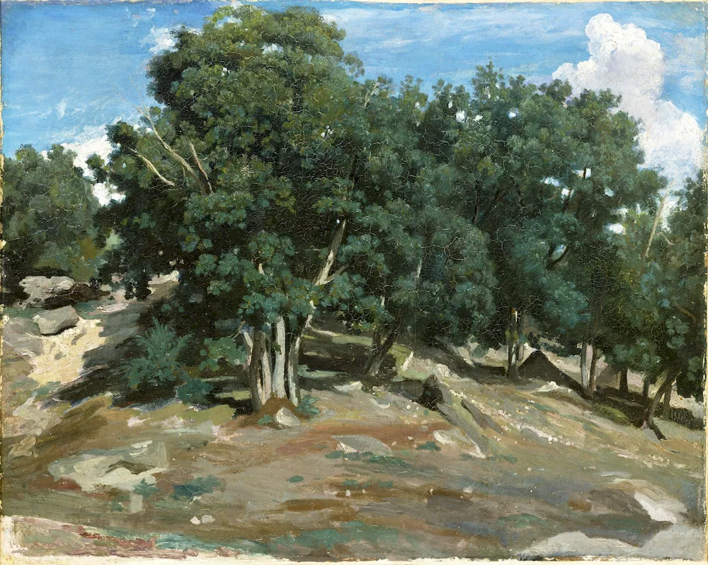 Fontainebleau: Bas-Bréau'daki Meşe Ağaçları - Camille Pissarro Poster