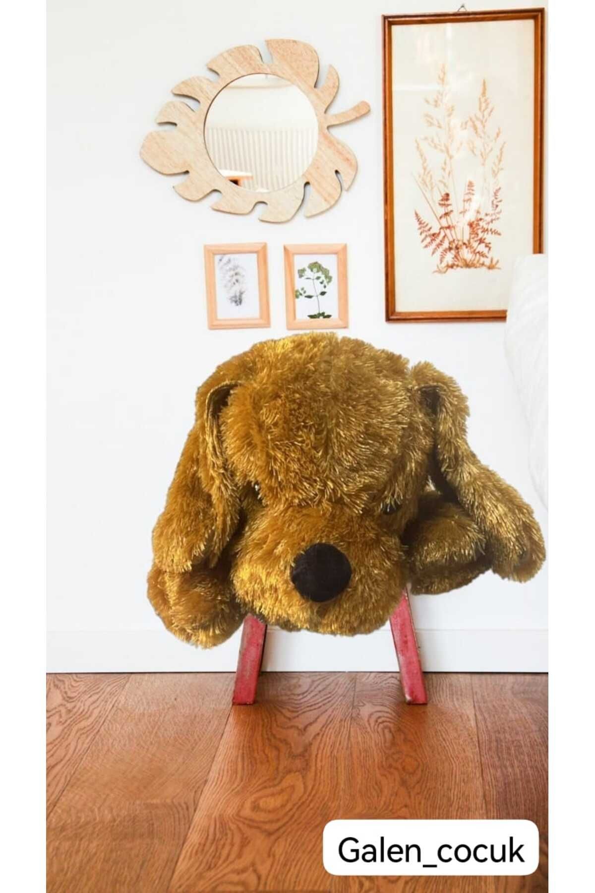 Yatan Köpek (Uzun Tüylü) 60 cm