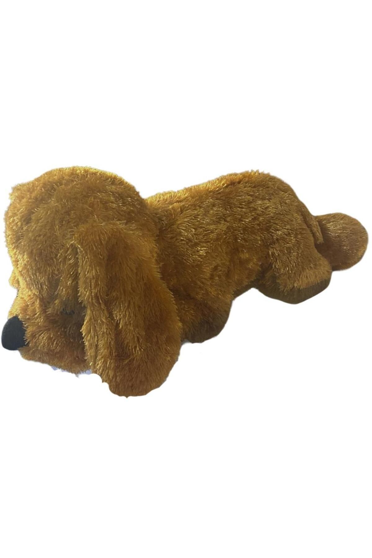 Yatan Köpek (Uzun Tüylü) 60 cm
