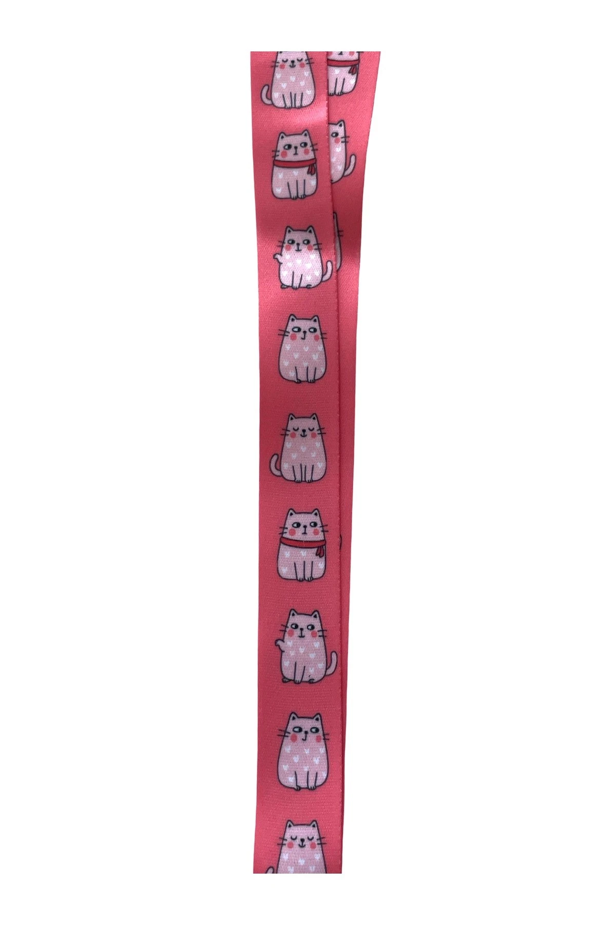 Kalpli Kedi 3 Lü Set Boyun ipi Yoyo Yaka Kartı