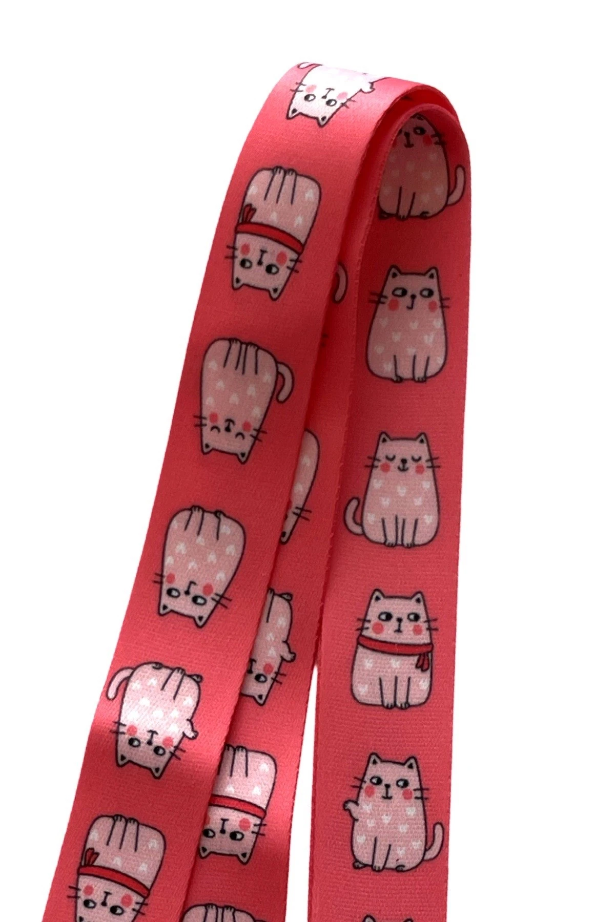 Kalpli Kedi 3 Lü Set Boyun ipi Yoyo Yaka Kartı