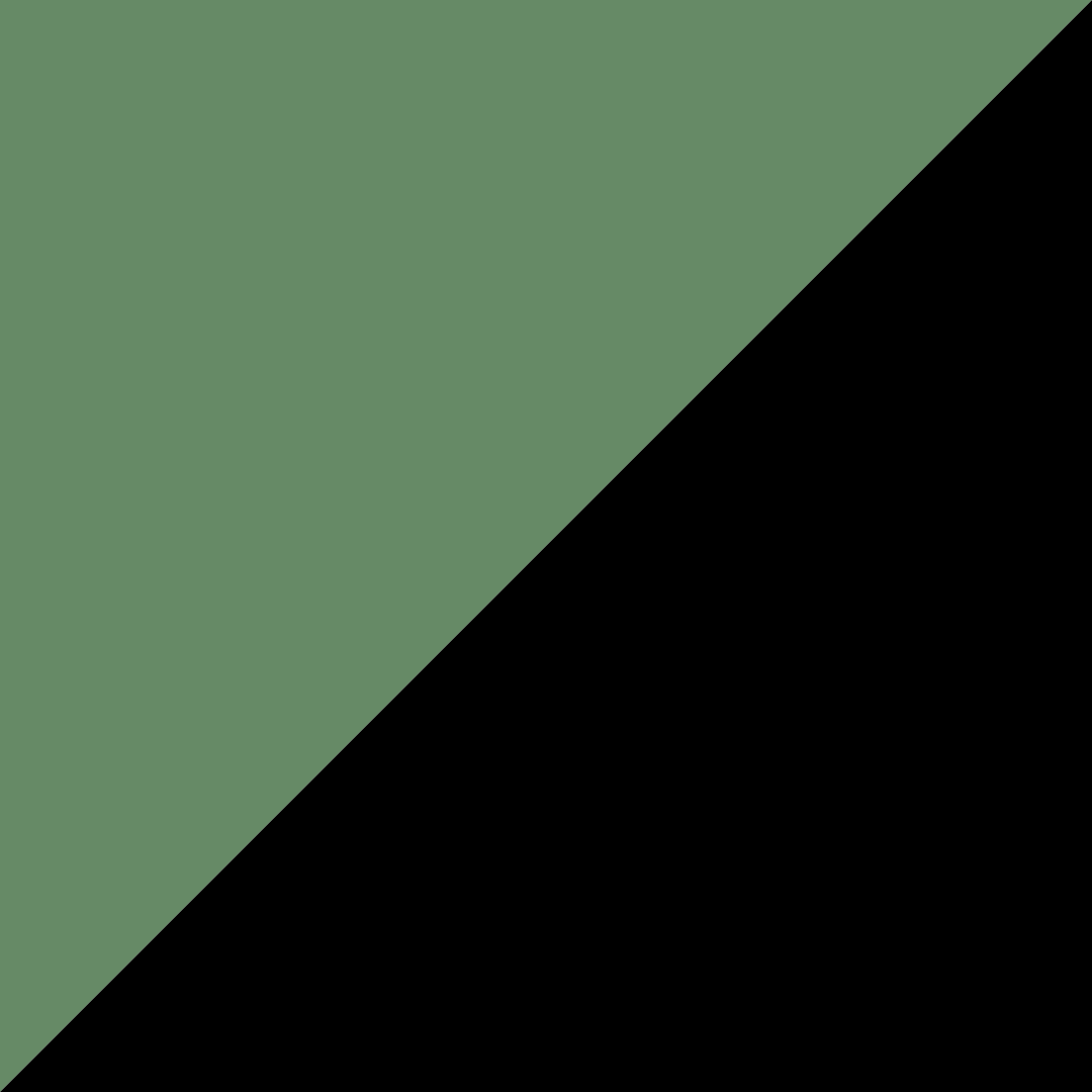 Yeşil/Siyah