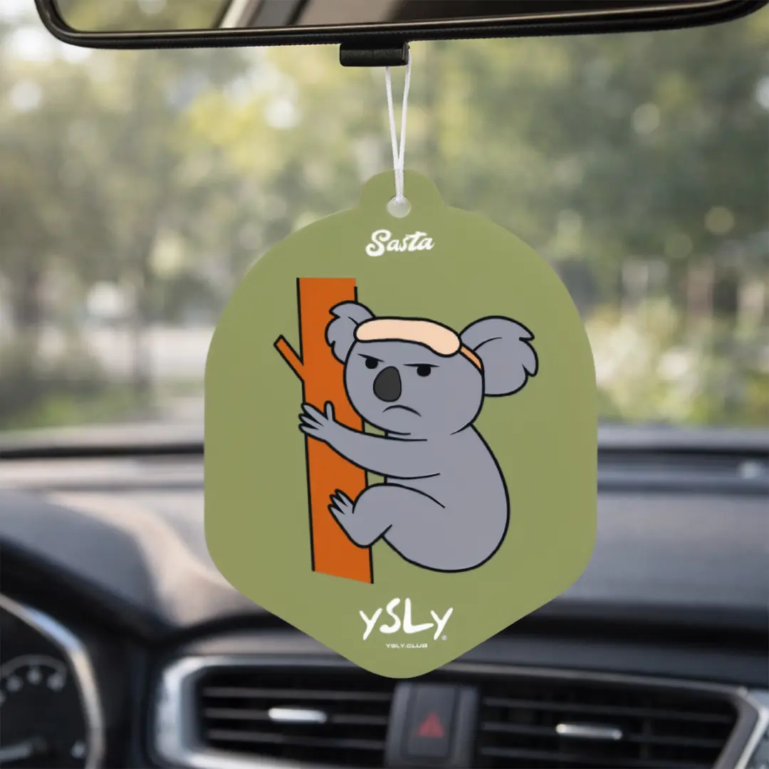 Gergin Koala Oto Kokusu