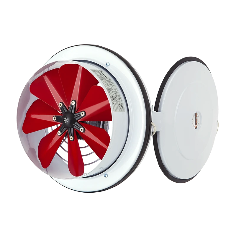 Kapaklı Ve Flanşlı Aksiyal Aspiratör PKA-160 KA