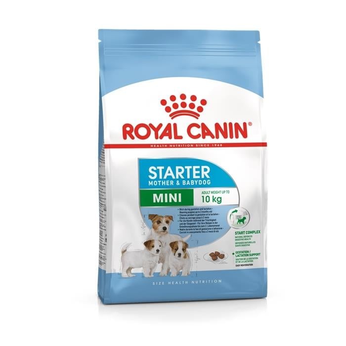 Royal Canin Mini Starter Anne ve Bebek Küçük Irk Yavru Köpek Maması (4 kg)