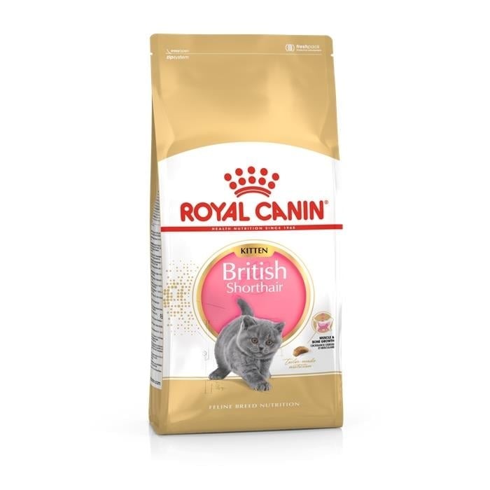 Royal Canin British Shorthair Yavru Kedi Maması (2 kg)
