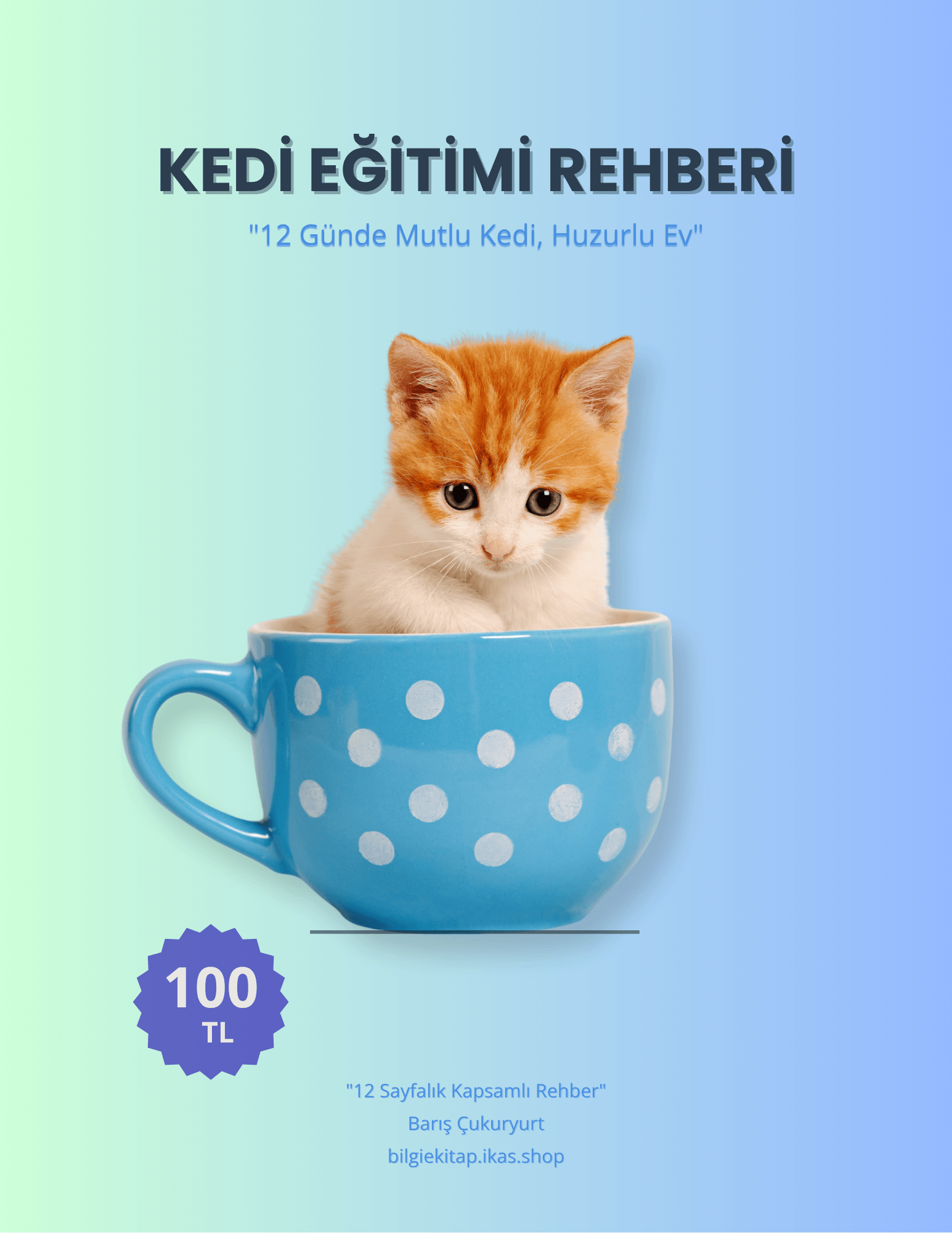 Kedi Eğitimi Rehberi