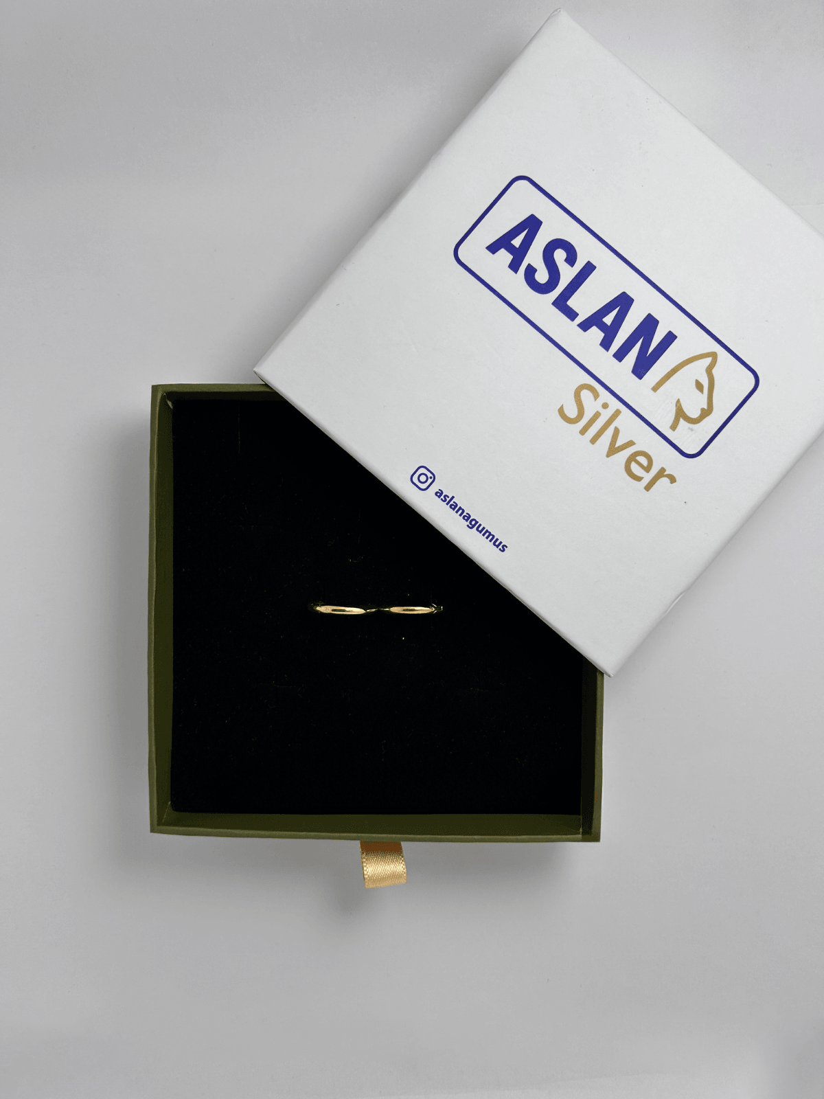 ASLANA 925 Ayar Gümüş Altın Kaplama Oval Halka Küpe
