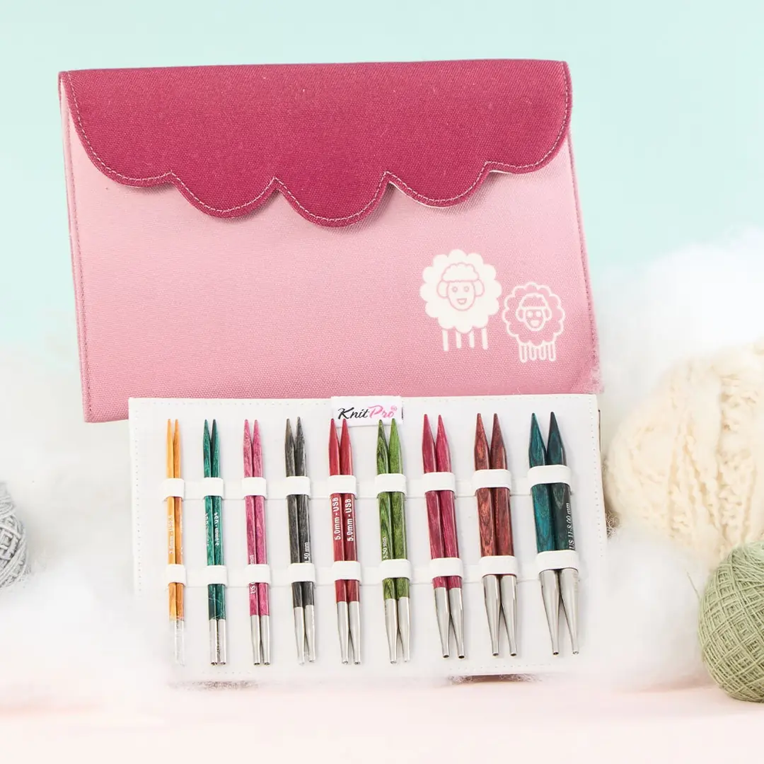 KNITPRO DREAMZ DELUXE DEĞİŞTİRİLEBİLİR MİSİNALI ŞİŞ SETİ - 13CM