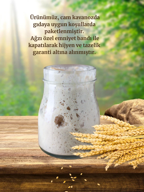 41 YILLIK EKŞİ MAYA 100 GR