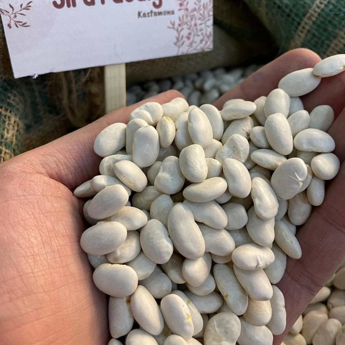 Atalık Tohum Fasulye 1KG