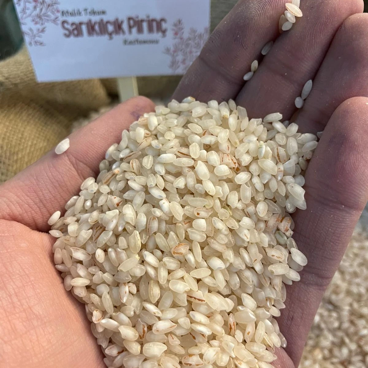 Atalık Tohum Sarıkılçık Pirinç 1KG