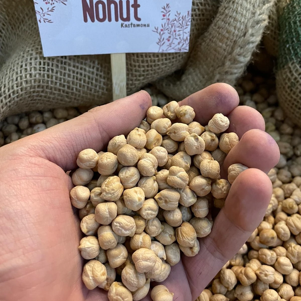 Atalık Tohum Nohut 1KG