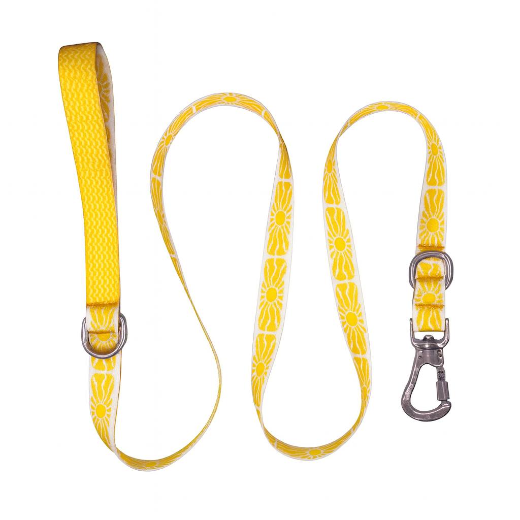Sunny Paws | Eller Serbest Tasma