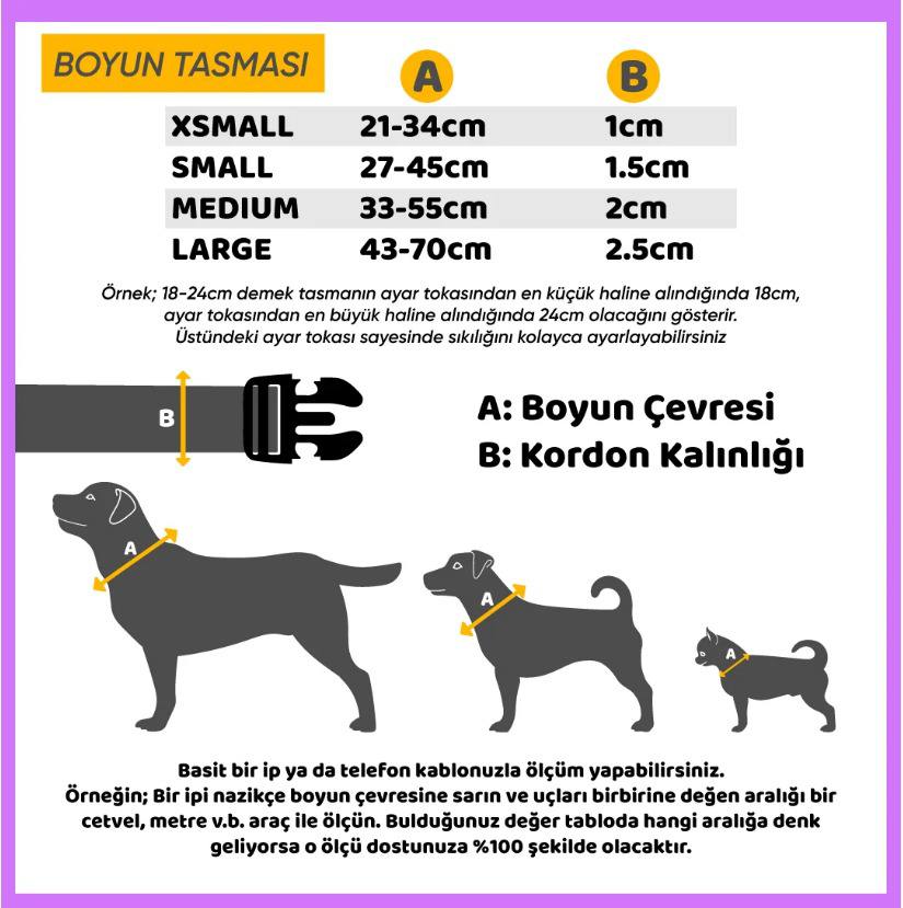Sunny Paws | Köpek Tasma Seti & Künye