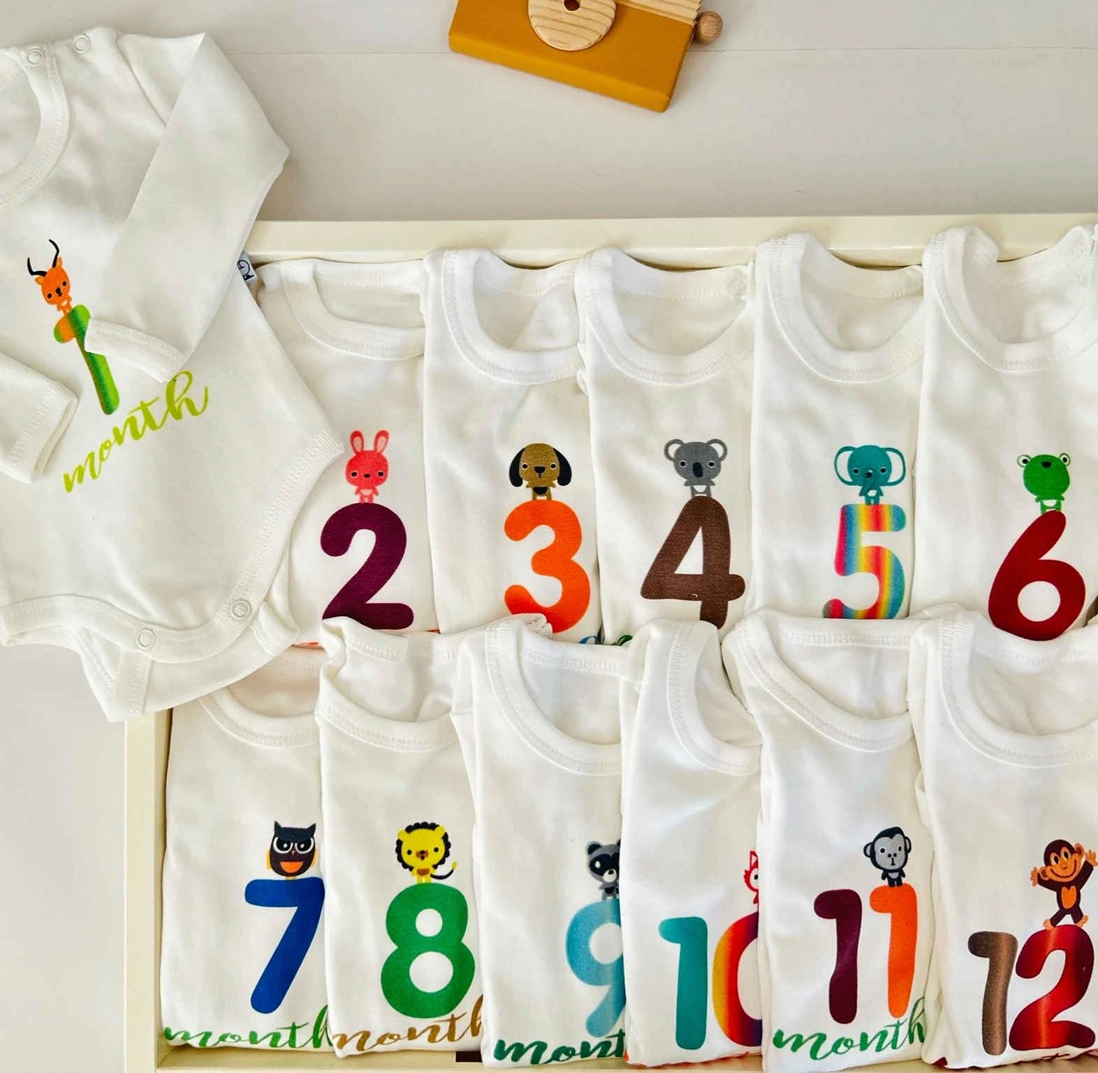 12'li Aylık Body Set | Yenidoğan & Bebek Giyim