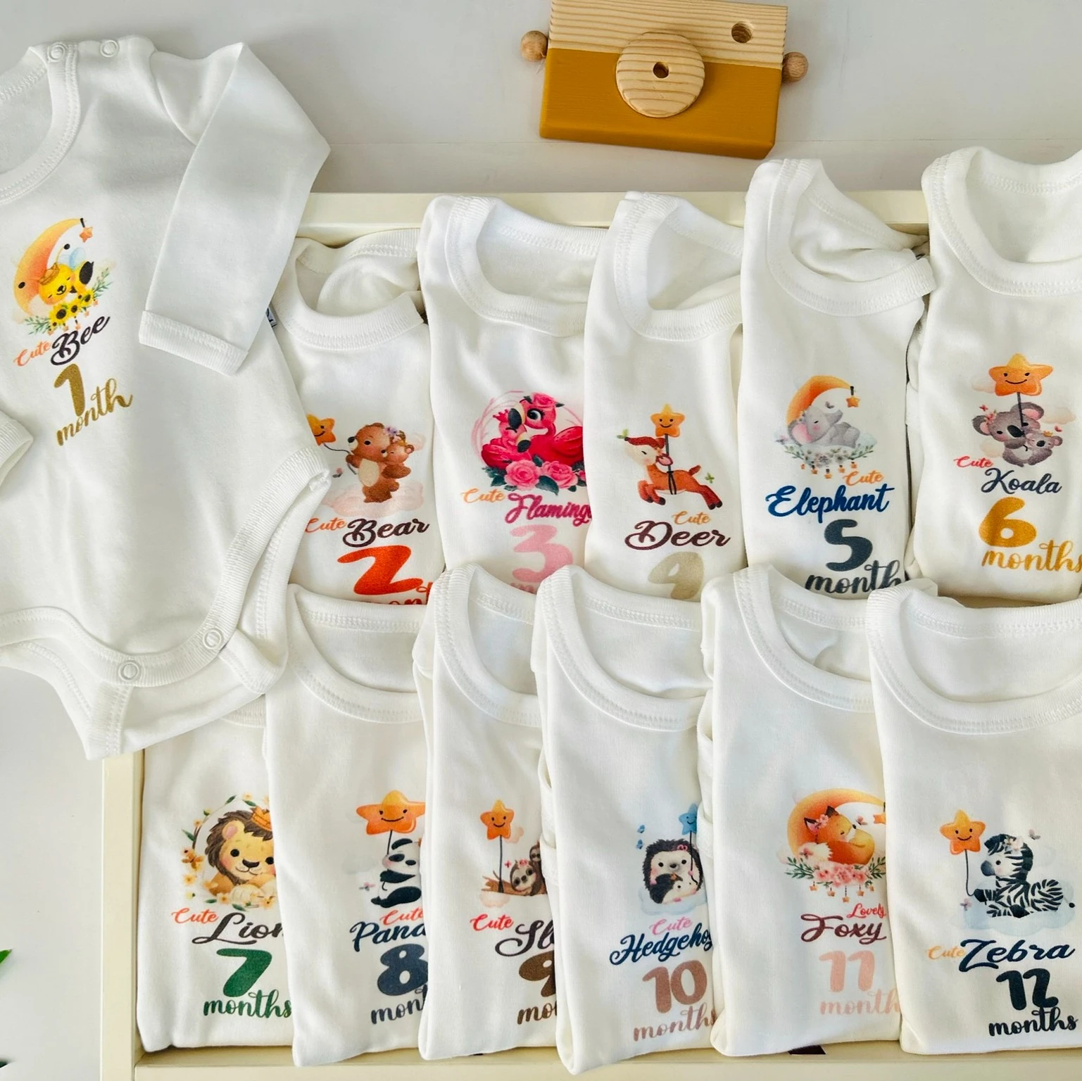 12'li Aylık Body Set | Yenidoğan & Bebek Giyim