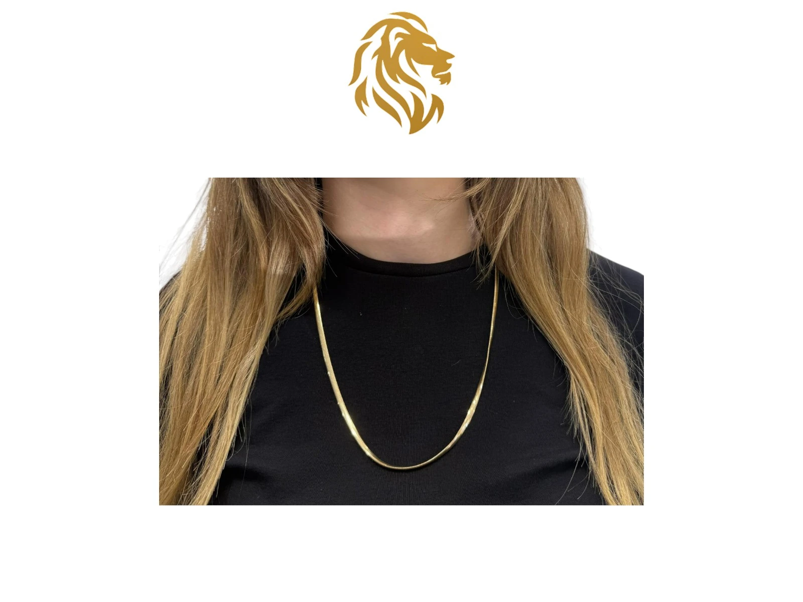 Balık Sırtı Zincir