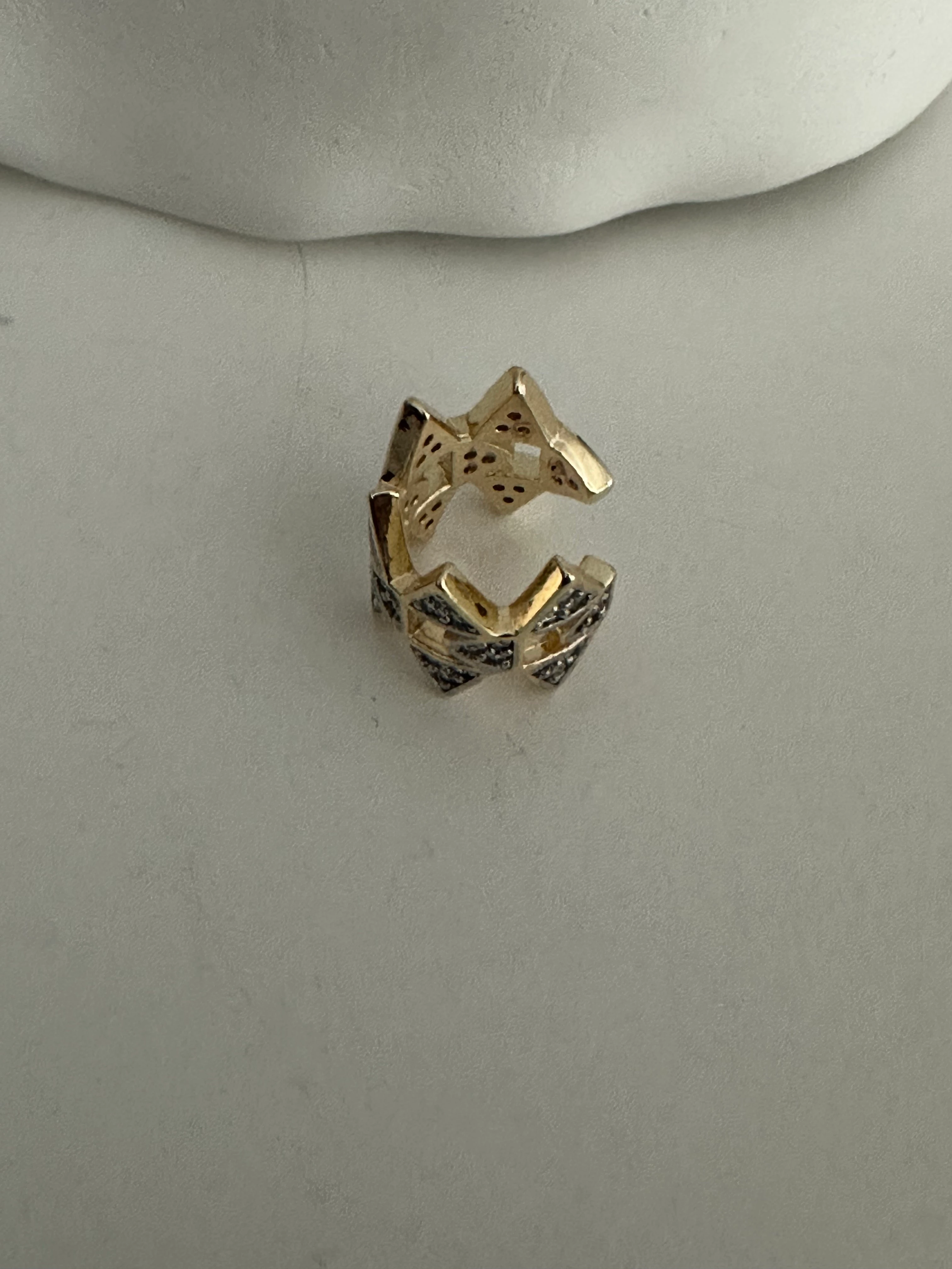 İki Renkli Kıkırdak Küpe