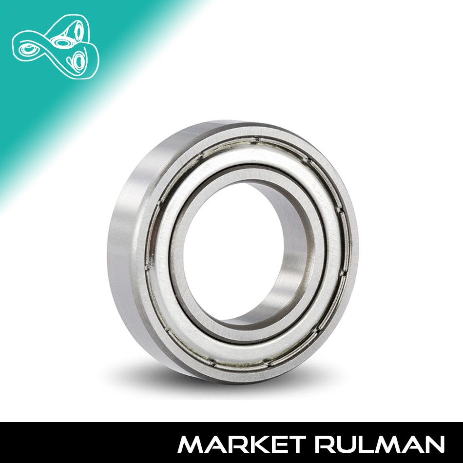 6309 ZZ RULMAN