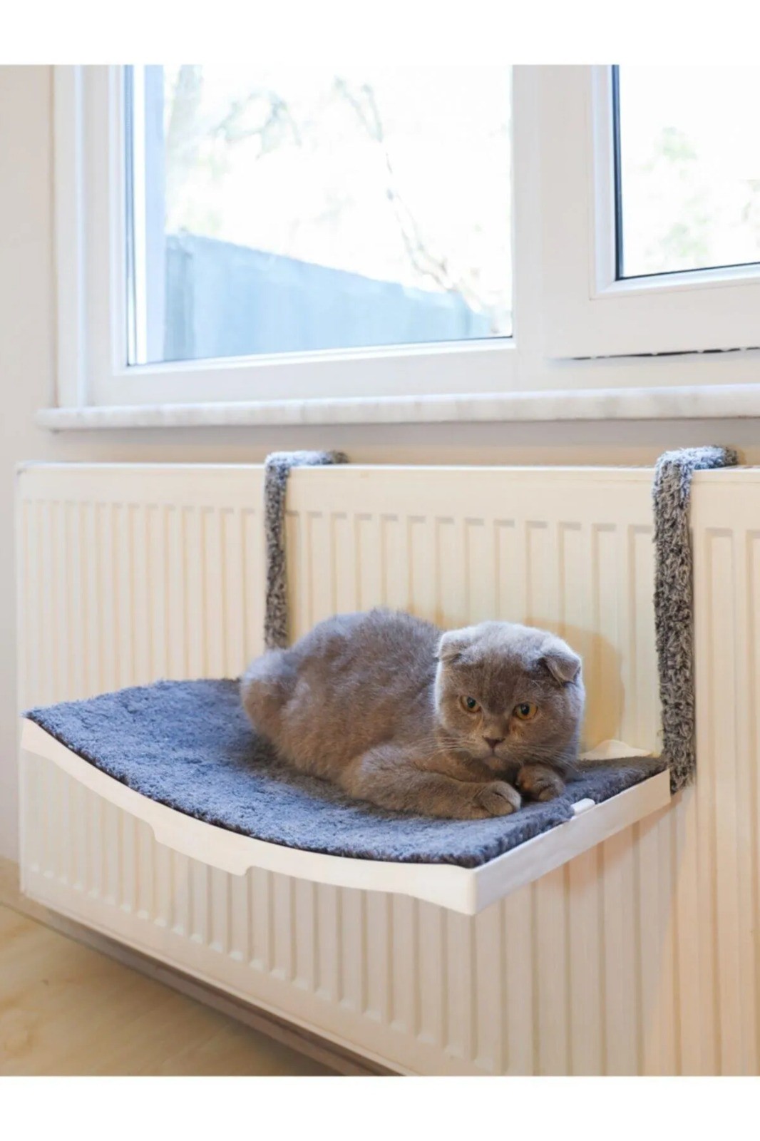 KEDİ PETEK YATAĞI