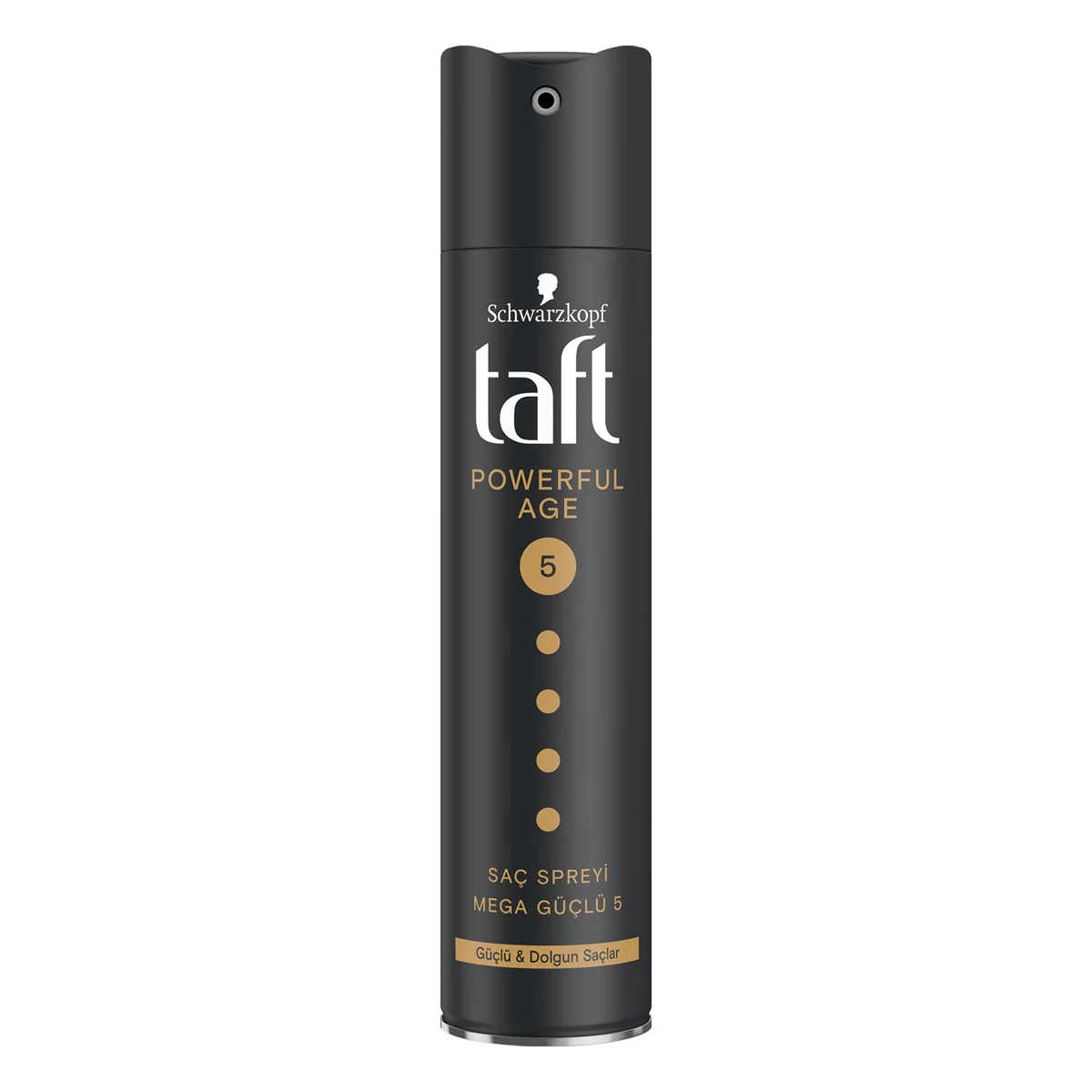 Taft Saç Spreyi Powerful Age 250 ml