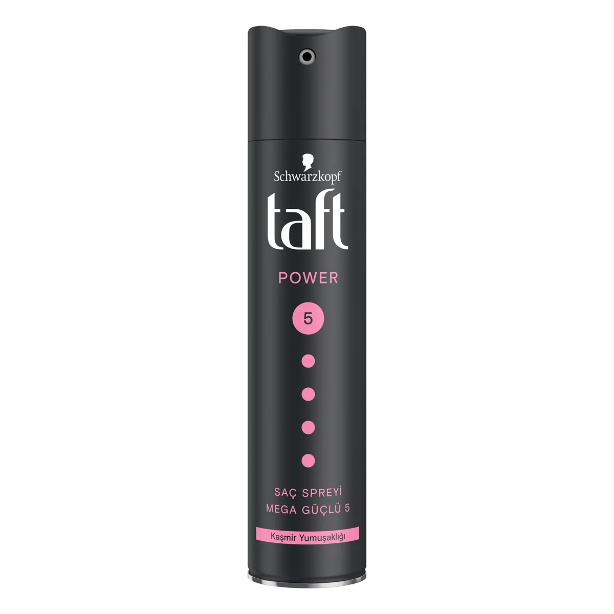 Taft Saç Spreyi Power Cashmere 250 ml
