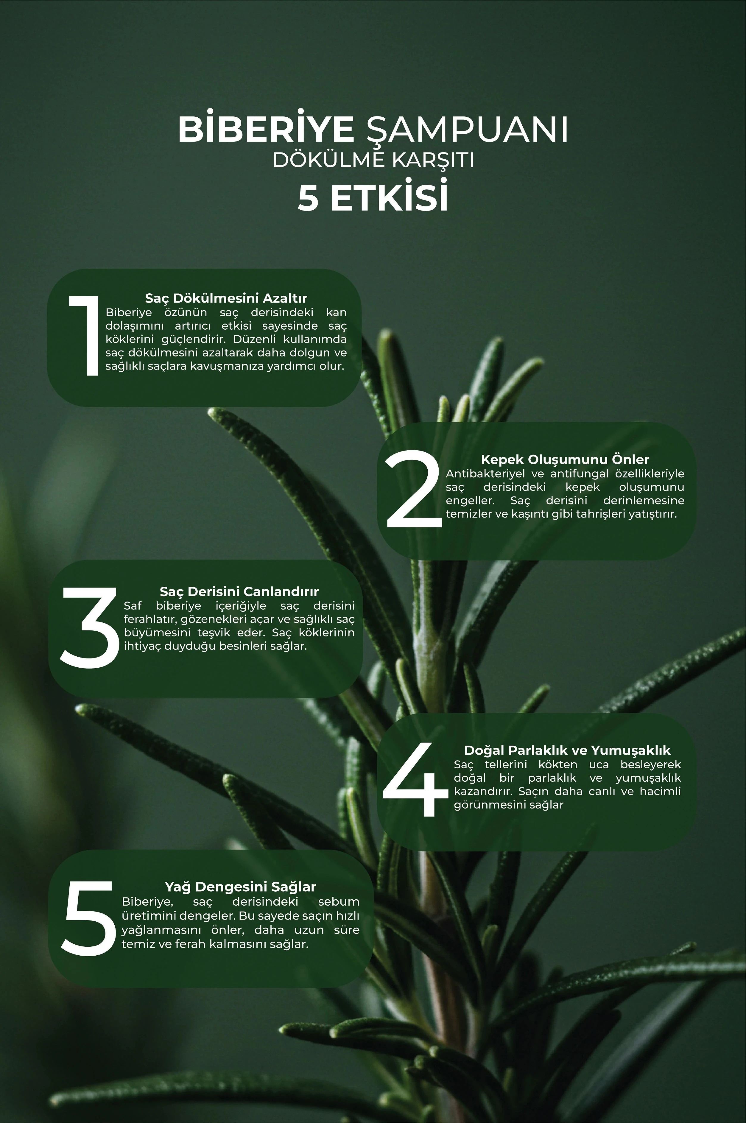 Doğal Biberiye Şampuanı - Dökülme Karşıtı Etki