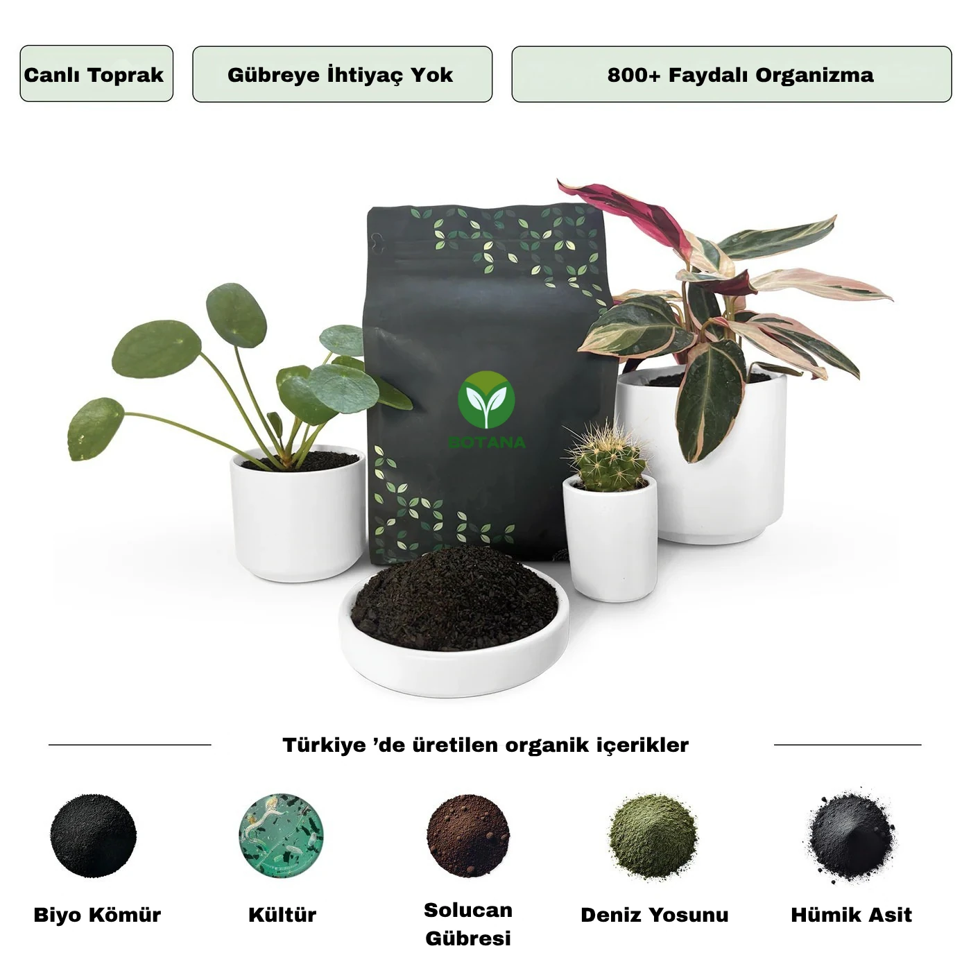 Botana | Besleyicili Bitki Toprağı - 3+2 Paket Bedava