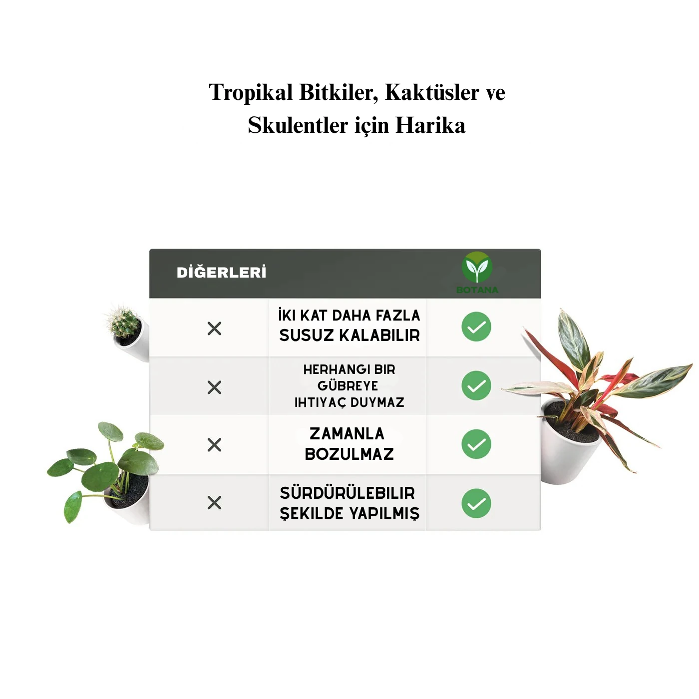 Botana | Besleyicili Bitki Toprağı