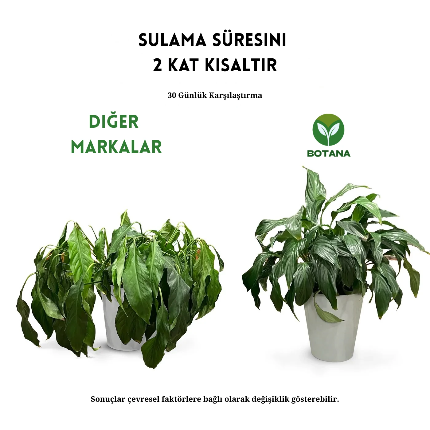 Botana | Besleyicili Bitki Toprağı