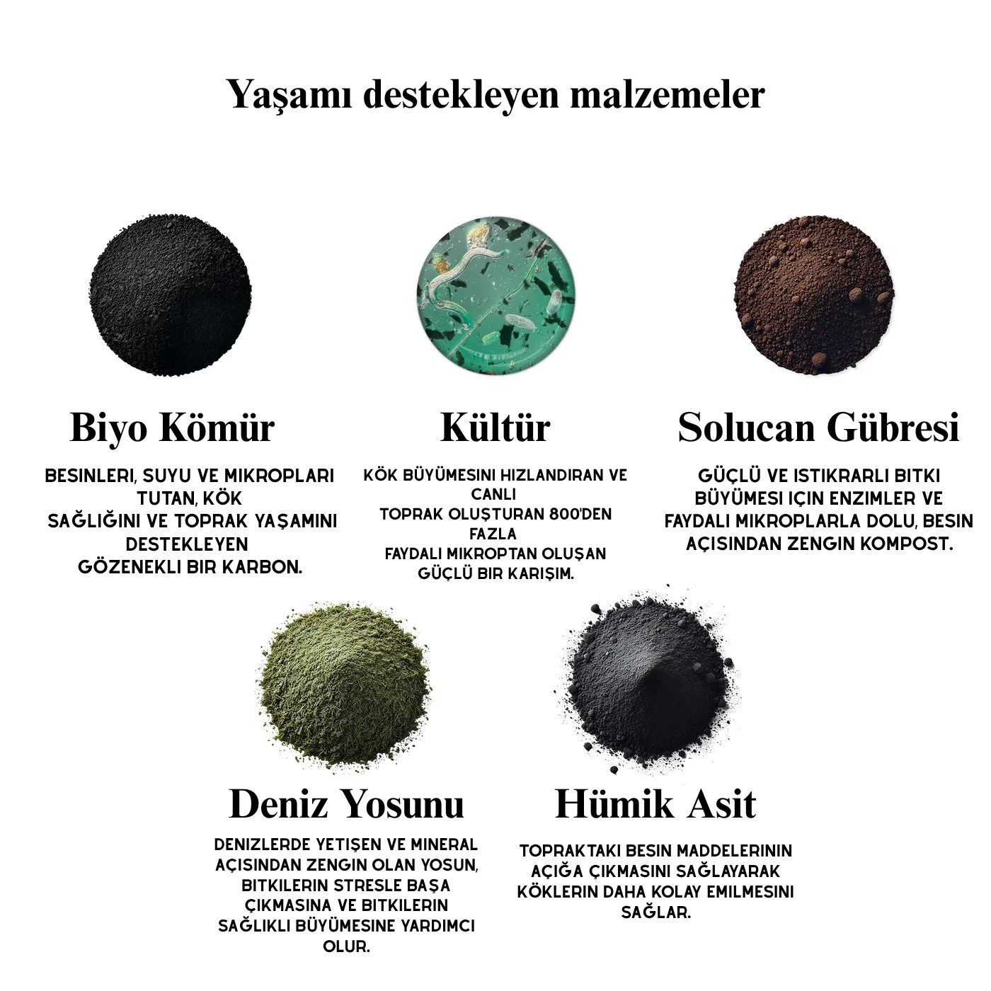 Botana | Besleyicili Bitki Toprağı