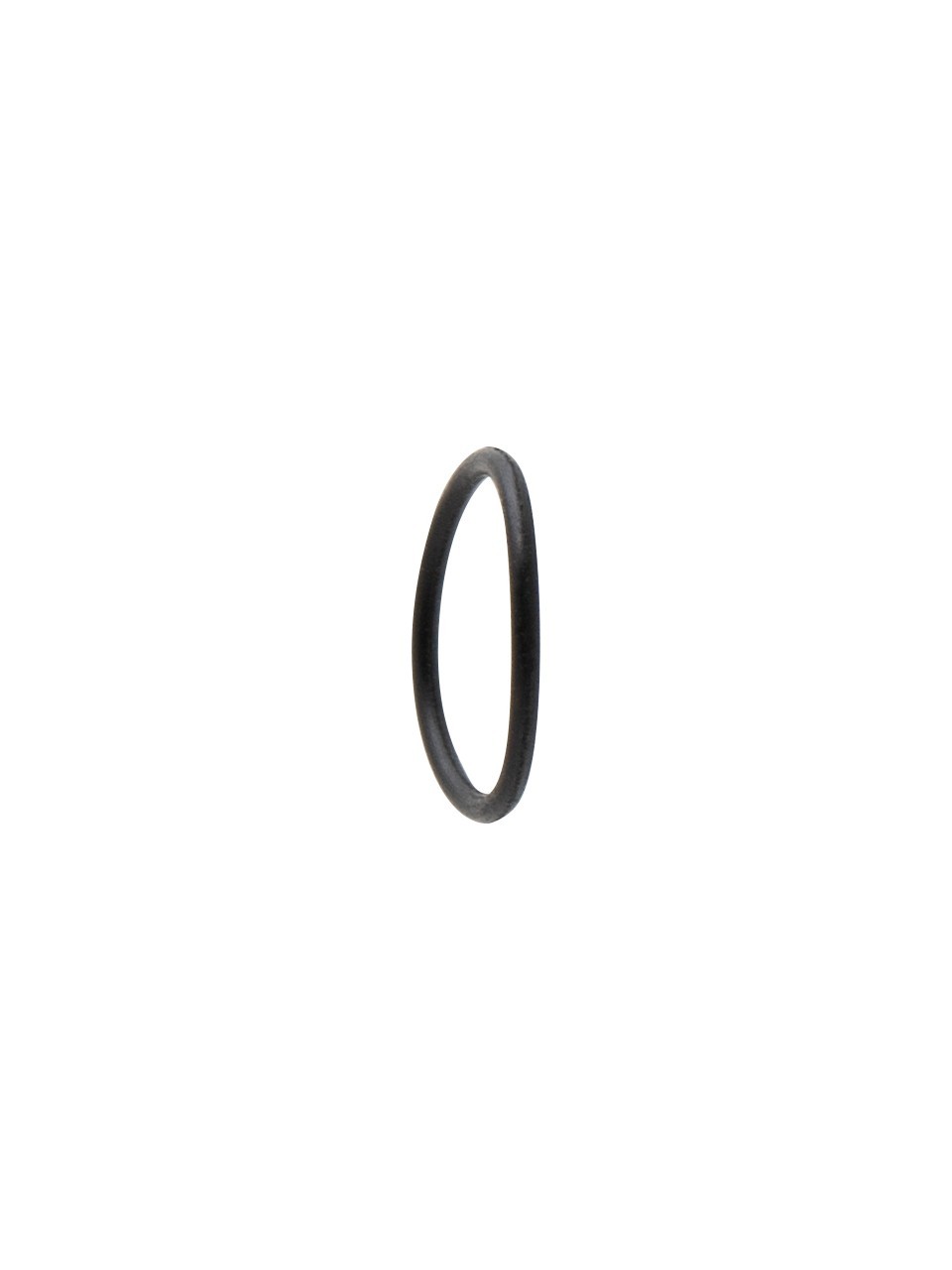 Iwata Nozzle Cap O-Ring (Nozzle Kapağı için O-Ring)