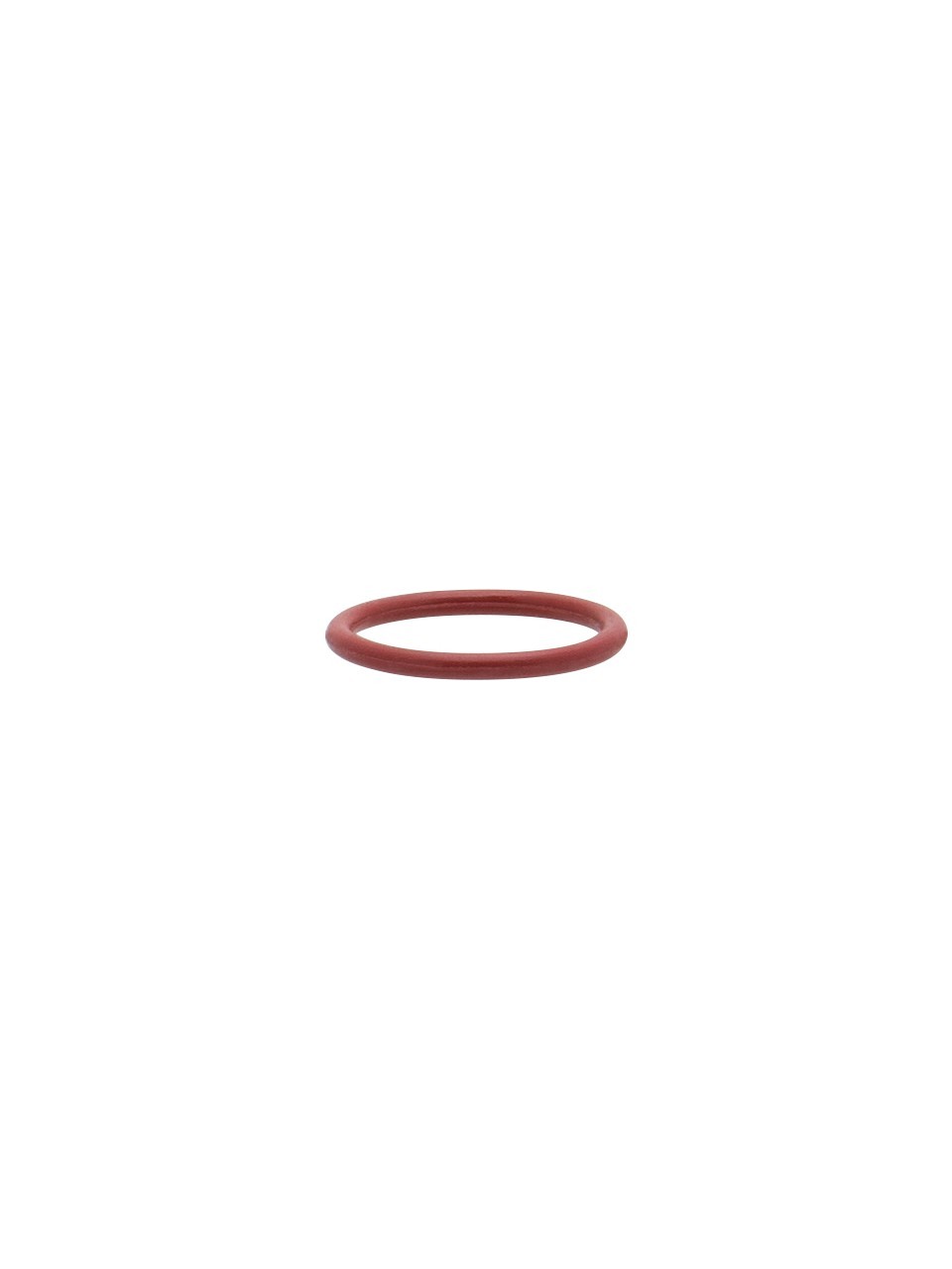 Iwata Hazne O-Ring