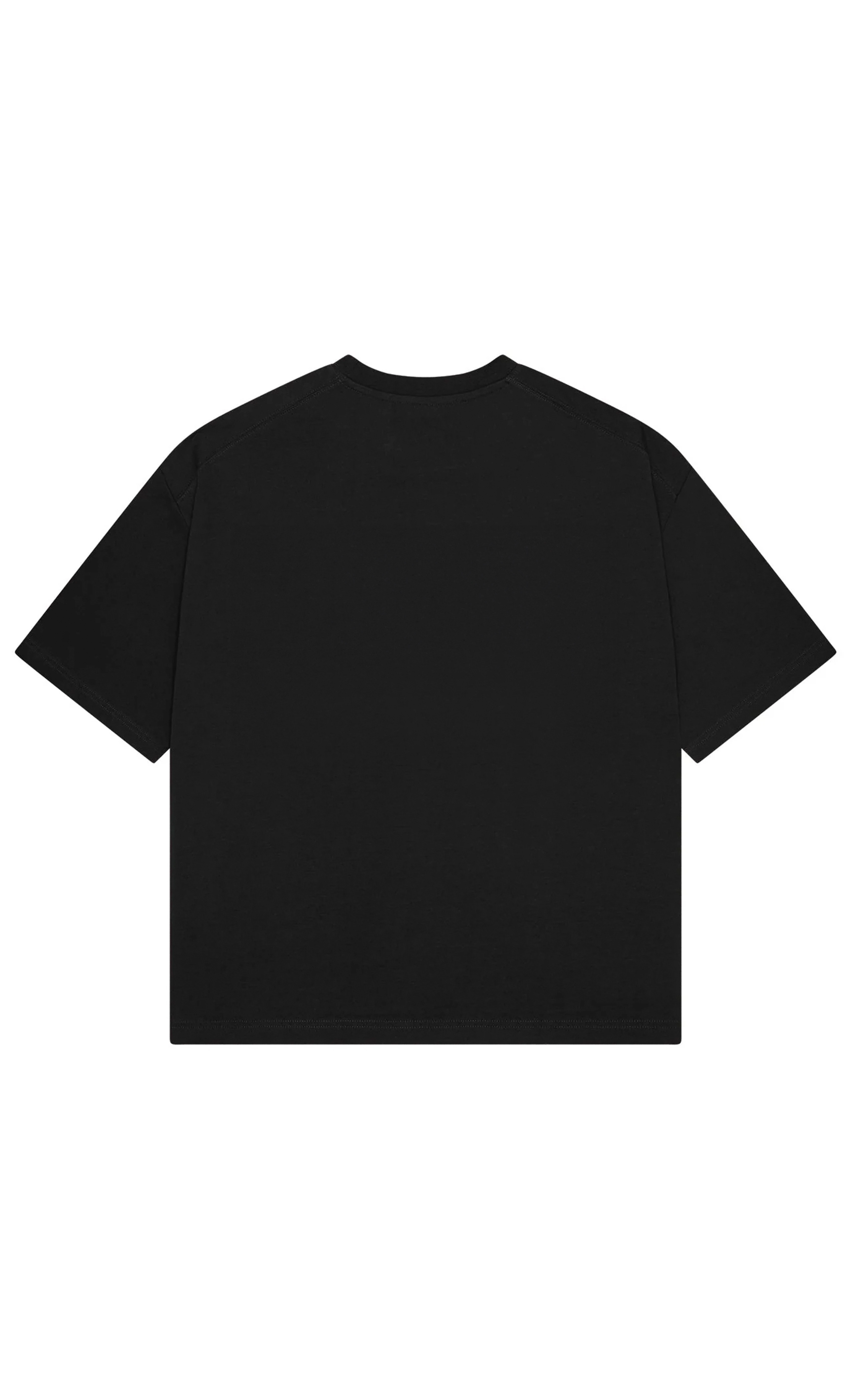 logolu basic t-shirt/siyah
