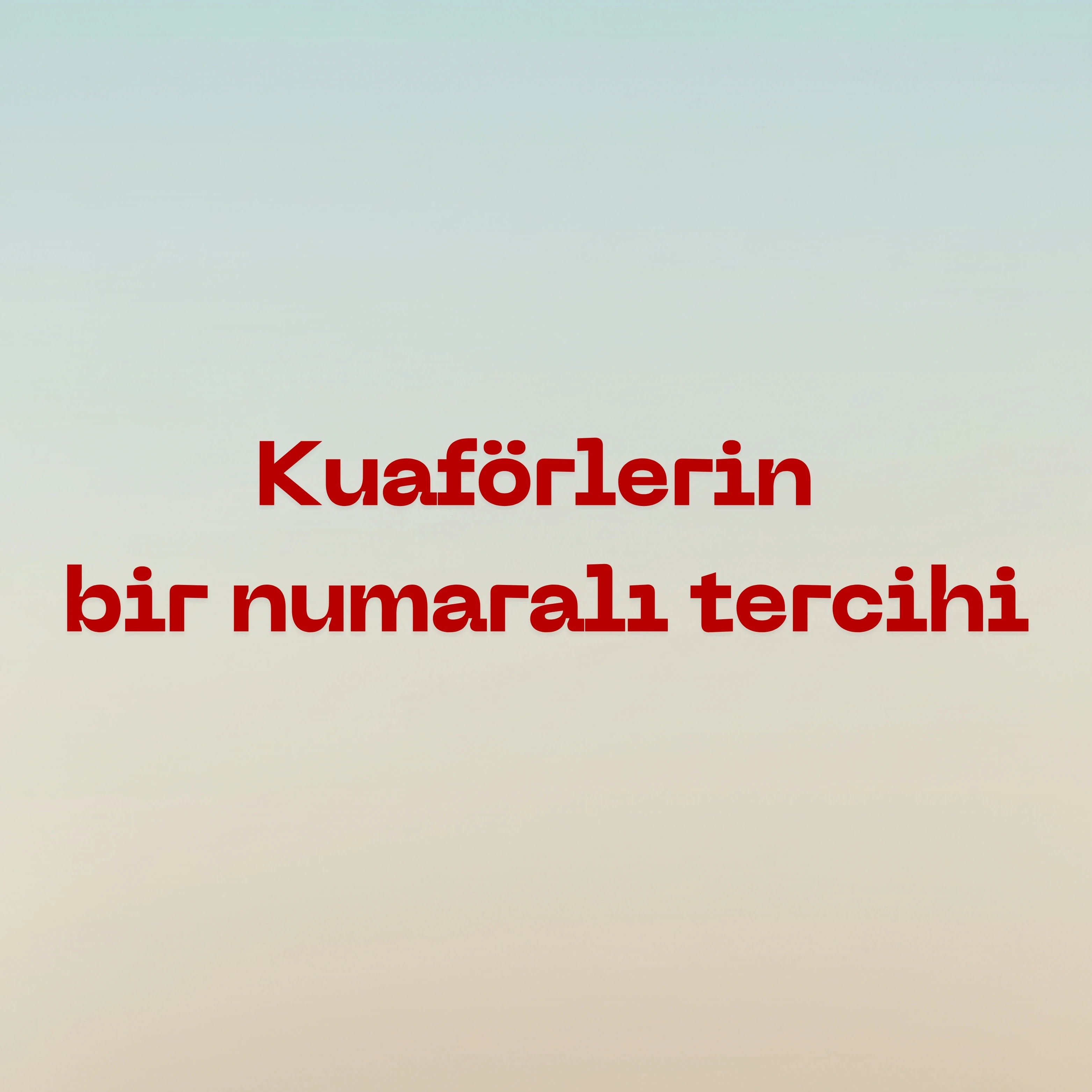 Professional 2011 Kırmızı Saç Fırçası