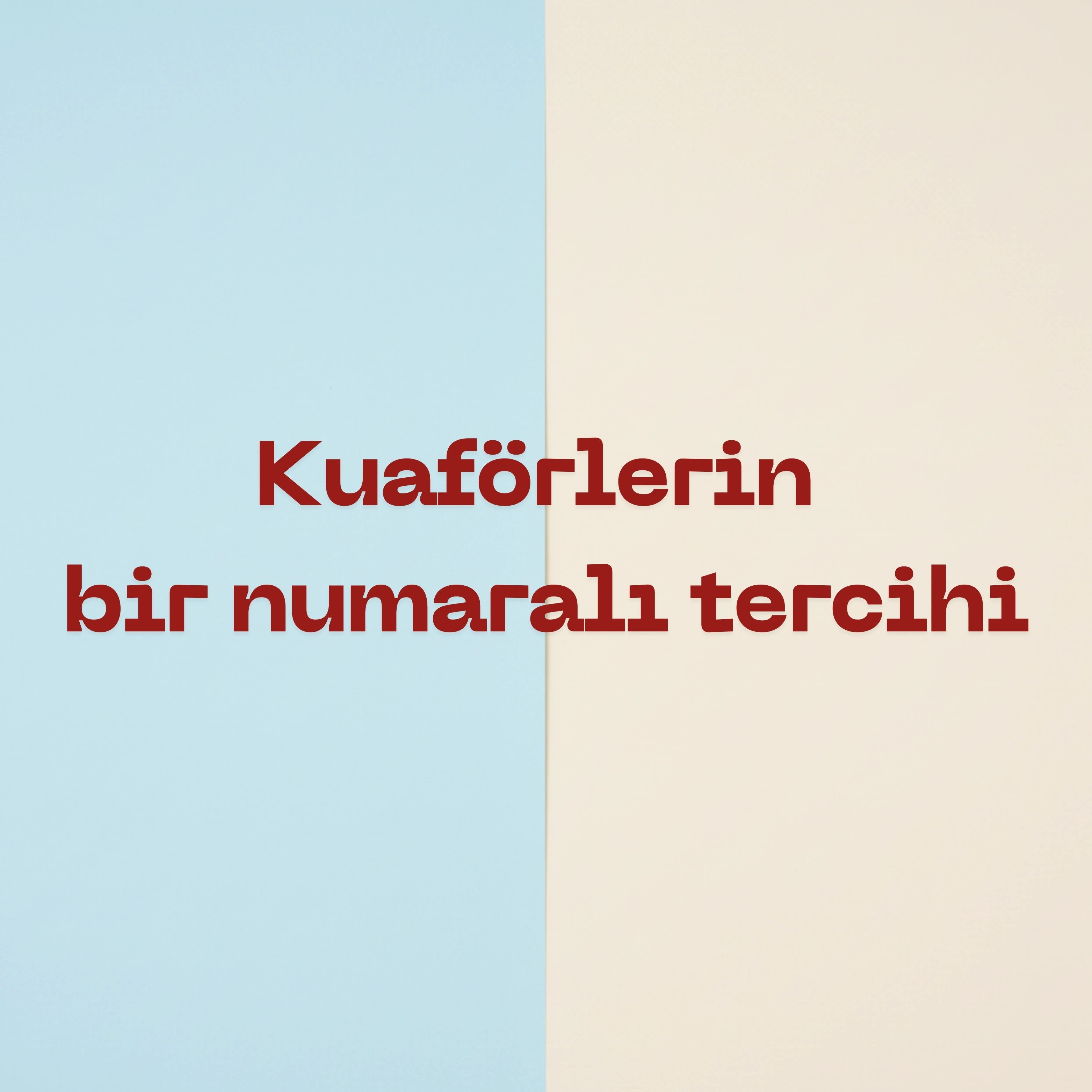 Professional 2013 Kırmızı Saç Fırçası